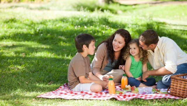 Family having a meal while on a picnic
